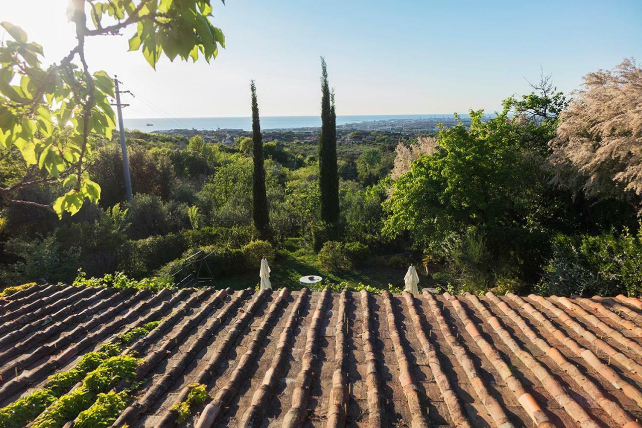 B&B Villa Panicucci Livourne Extérieur photo